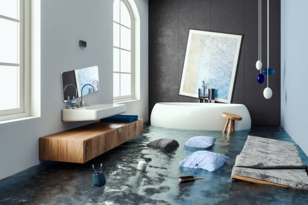 Best Flood restoration services  in Sugar Land, TX