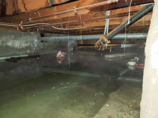  Sugar Land, TX Water damage restoration Pros