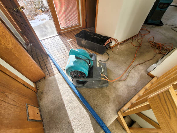 Best Sewage cleanup and water damage restoration  in Sugar Land, TX