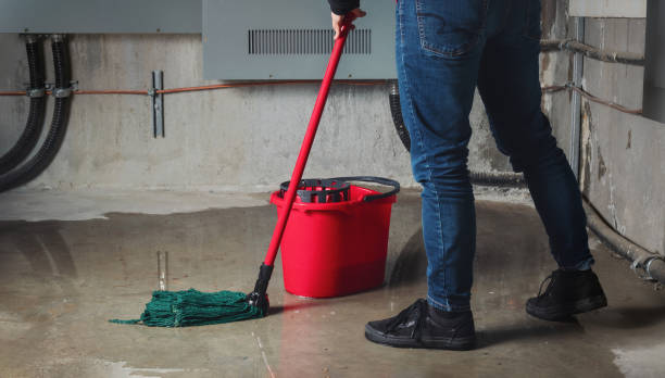 Best Water damage restoration near me  in Sugar Land, TX