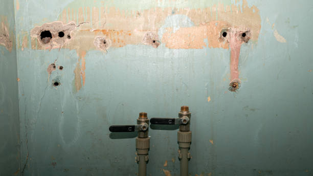  Sugar Land, TX Water damage restoration Pros