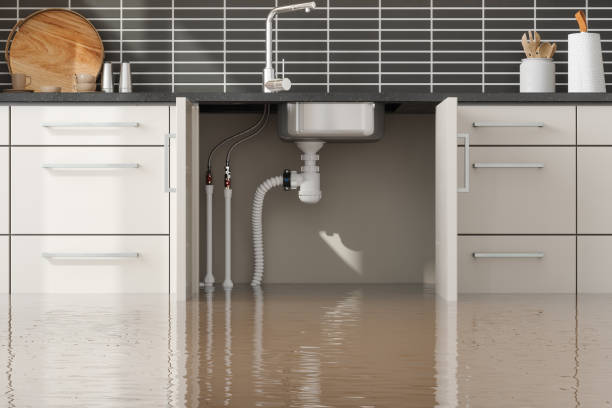 Carpet water damage restoration in Sugar Land, TX