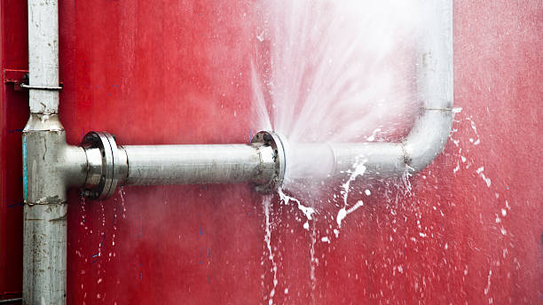 Best Carpet water damage restoration  in Sugar Land, TX